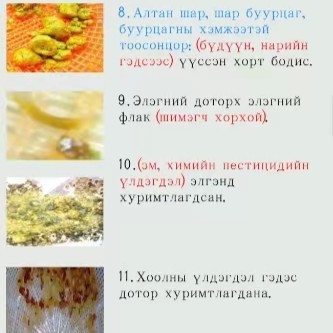 657d3b9ed4d6a copy 3 1.jpg