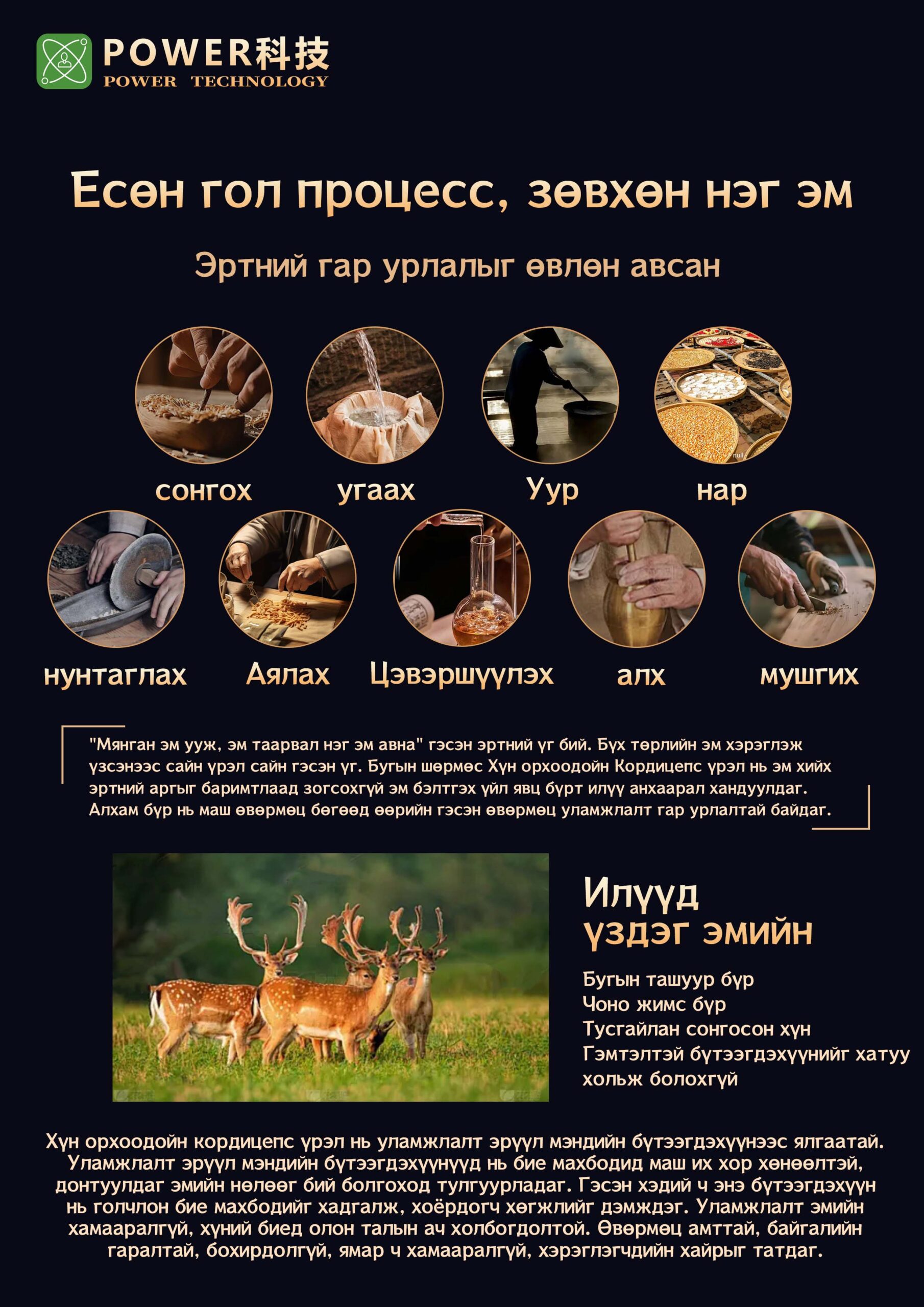 67fe199f41896 scaled.jpg