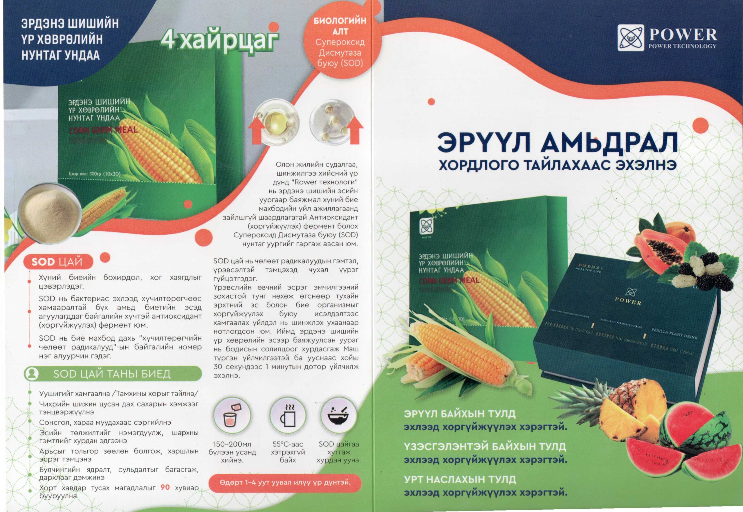 img20251112 15561187 scaled.jpg